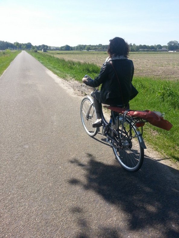 bike riding in the netherlands