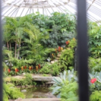 Phipps Conservatory, Pittsburgh