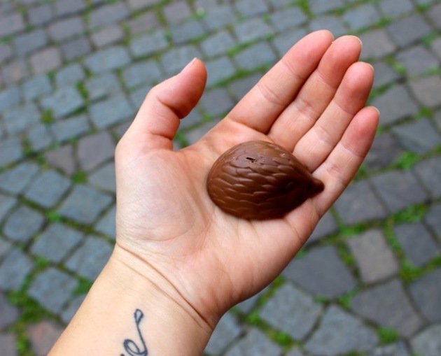 Chocolate Hedgehog Candy in Antwerp, Belgium x#100DaysofMiaPrima